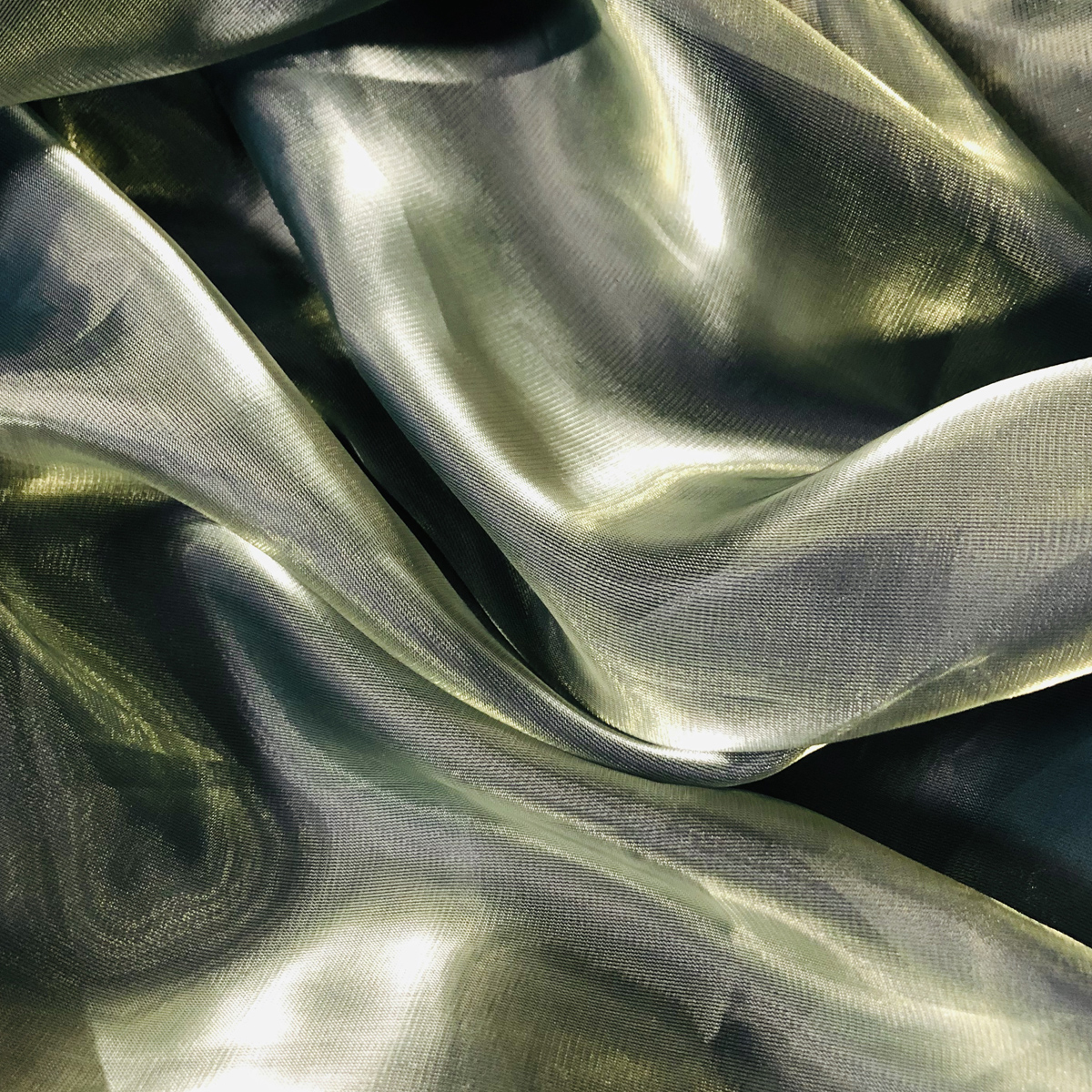 Bottle Green/Gold