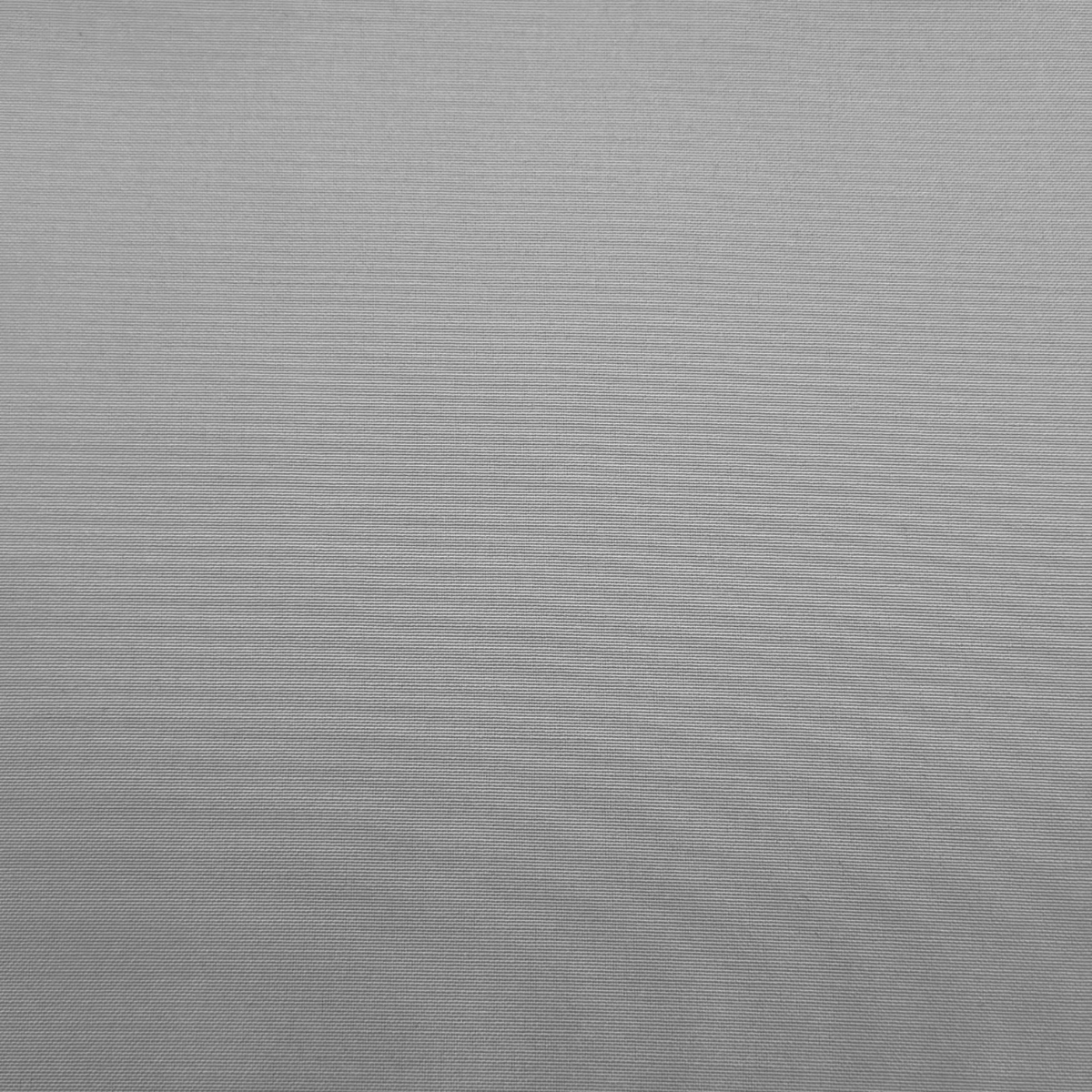 Feather Grey