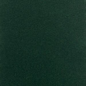 Evoke™ Carbonight<sup>®</sup> 22