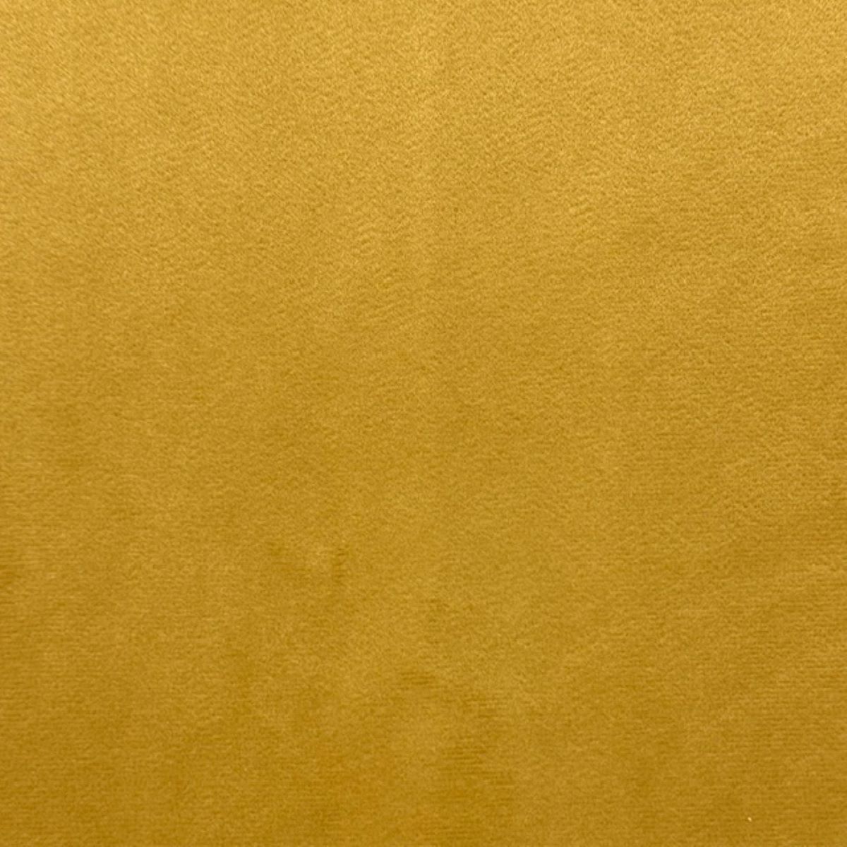 Gold Rush