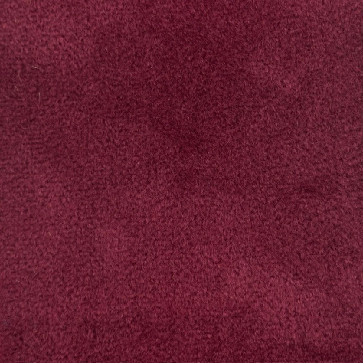 Cranberry