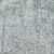 Silver Leaf